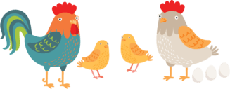 chickens