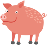 pig