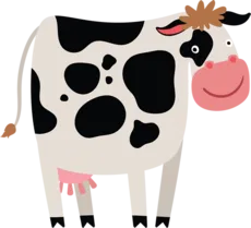 Cow1