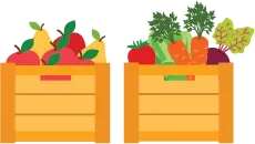 boxes