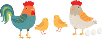 chickens
