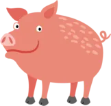 pig